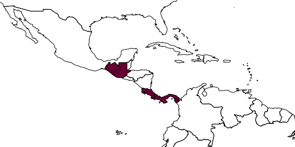 map of Exochus voxanus     Gauld & Sithole, 2002